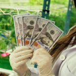 holding the us dollars cash