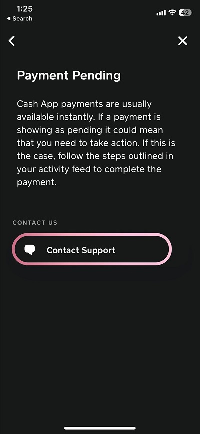 payment pending contact support
