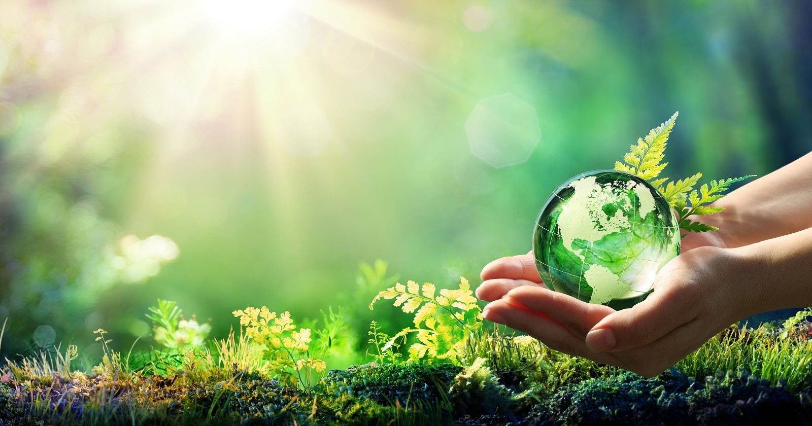 sustainability