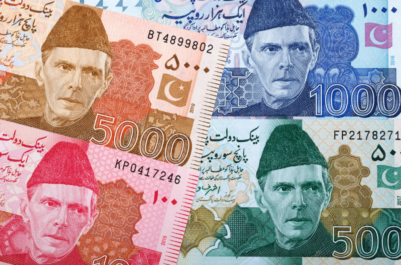 pakistanee rupee cash
