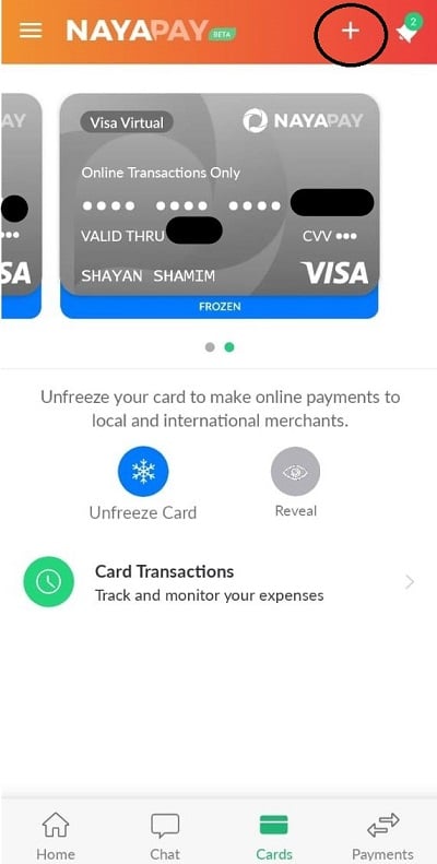 nayapay visa virtual card