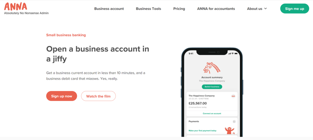anna money business account