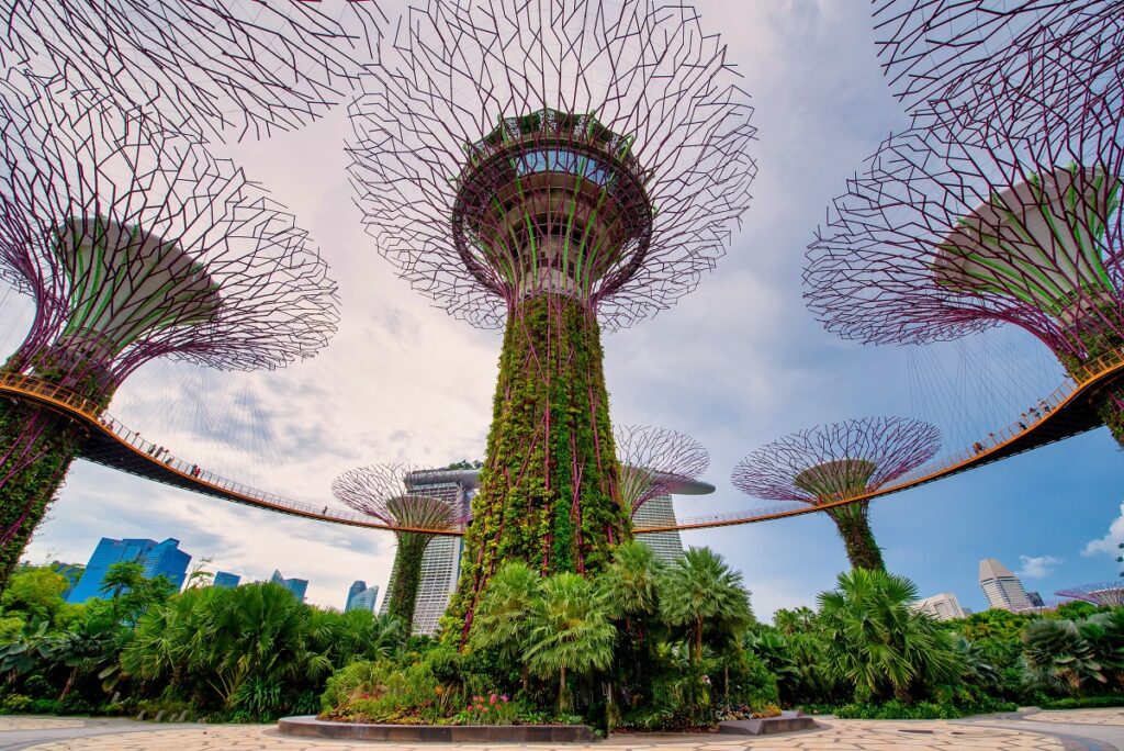 singapore gardens by the bay