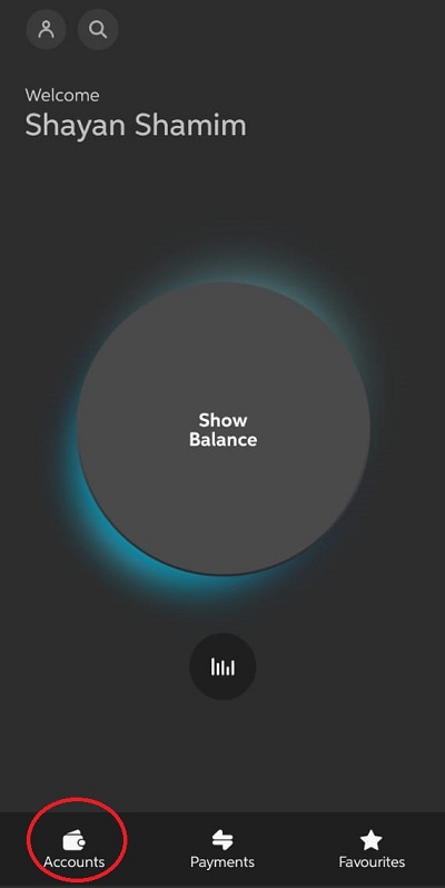 ubl diital banking app