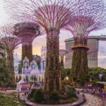 singapore gardens by the bay