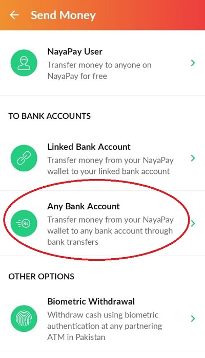 nayapay linked bank account