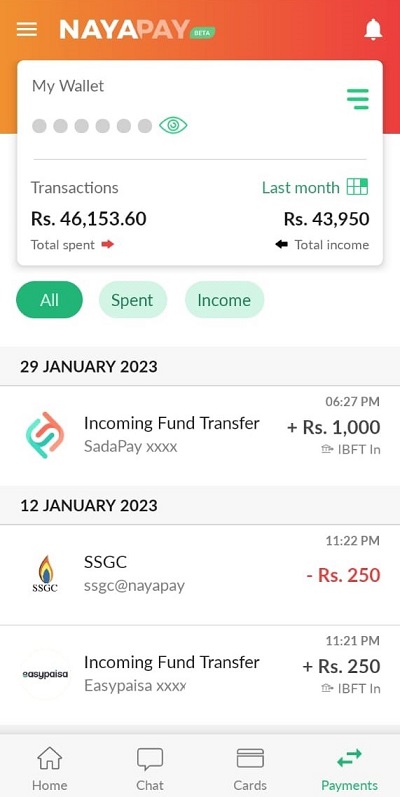 nayapay payments tab